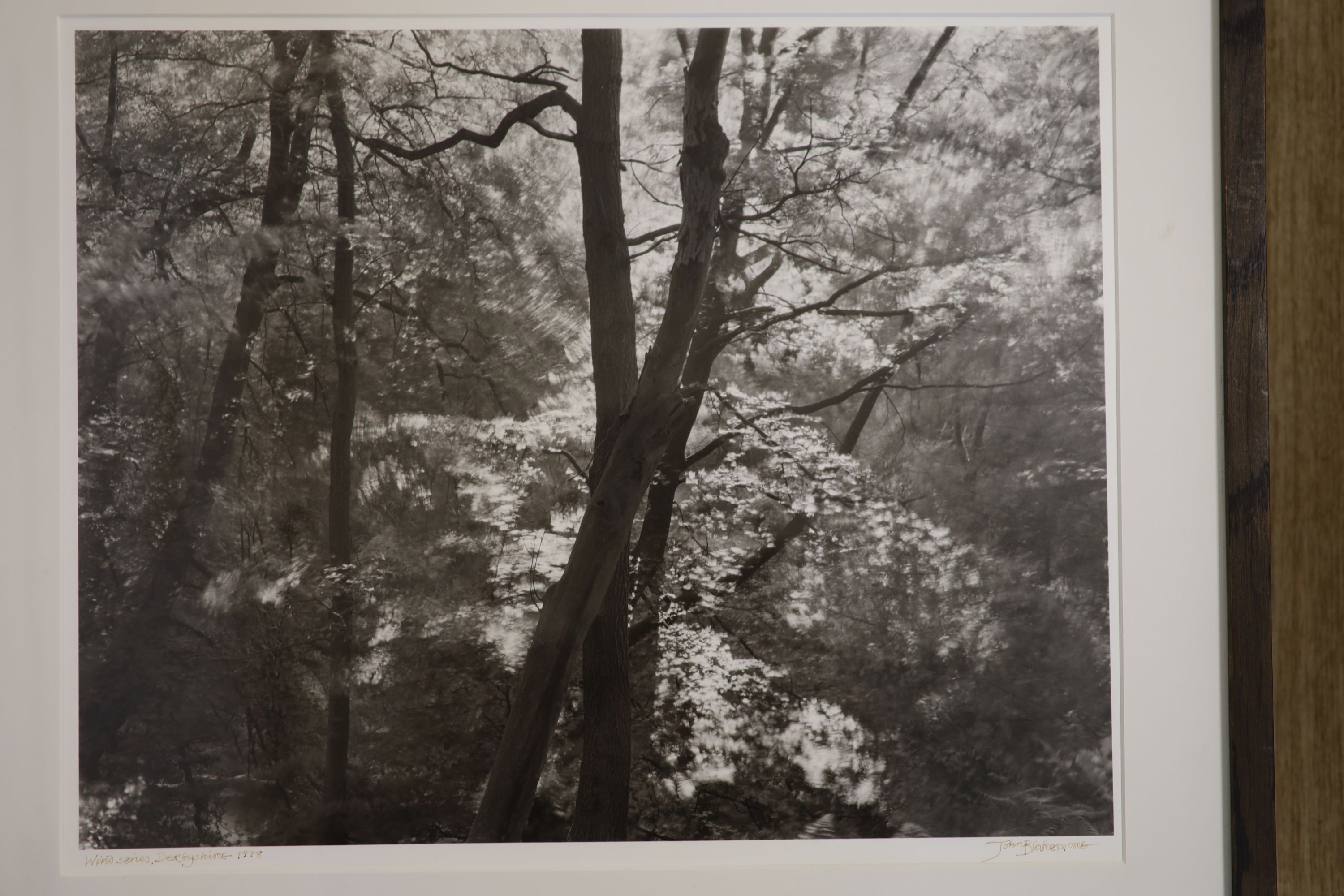 A group of assorted 20th century photographs including Steve Pyke, John Blakemore and Danny Weinstein